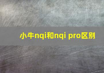 小牛nqi和nqi pro区别